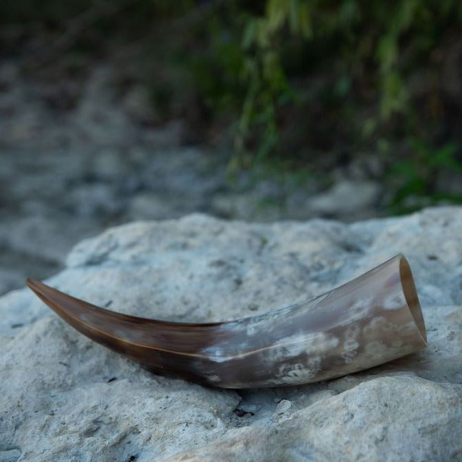 Drinking Horn (600-800 ml)