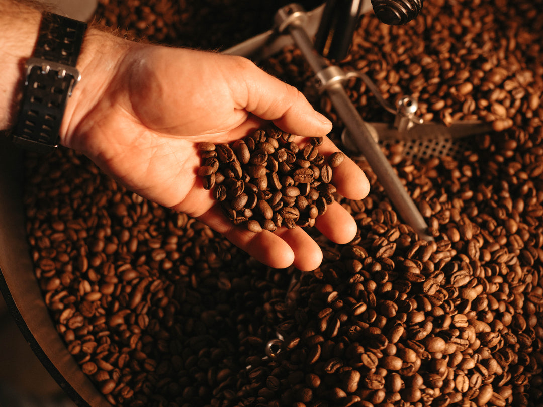 Espresso beans roasted at Bee & Brew coffee roastery in Fort Worth